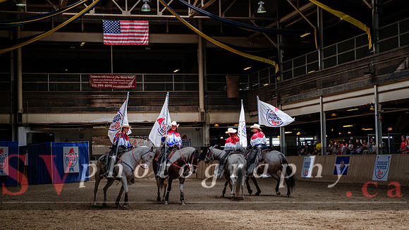HorseCapades