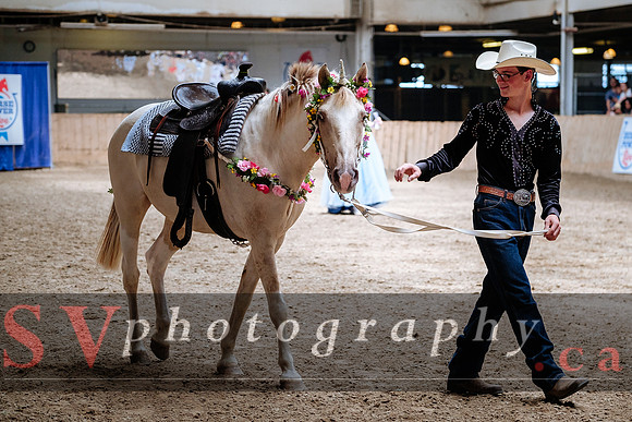 HorseCapades