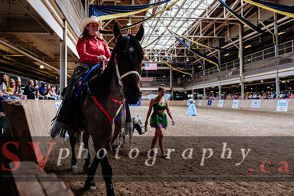 HorseCapades