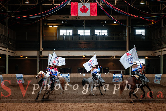 Horsecapades
