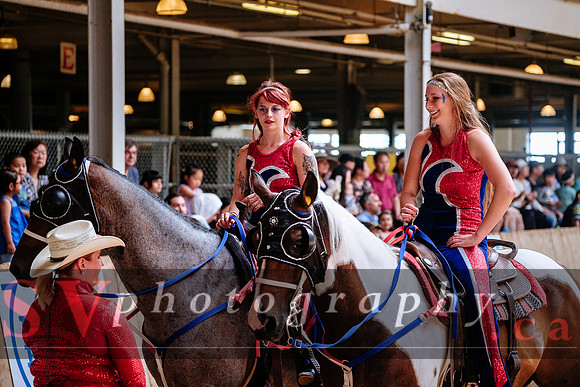 HorseCapades
