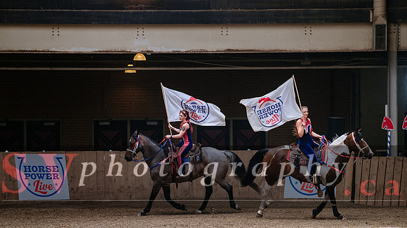 HorseCapades