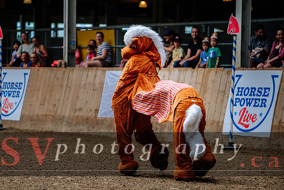 HorseCapades