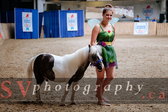 HorseCapades