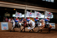 Horsecapades