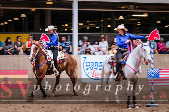 Horsecapades