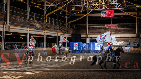 HorseCapades