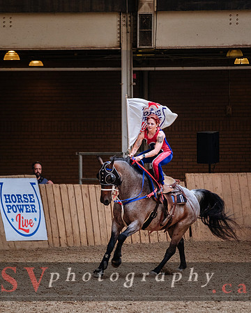 HorseCapades