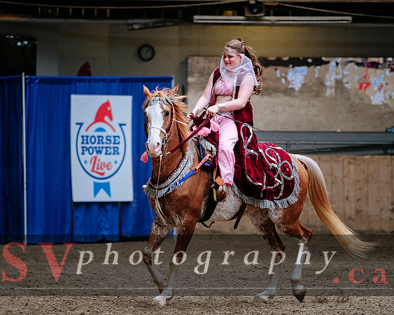 HorseCapades