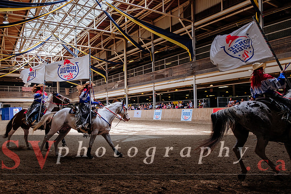 HorseCapades