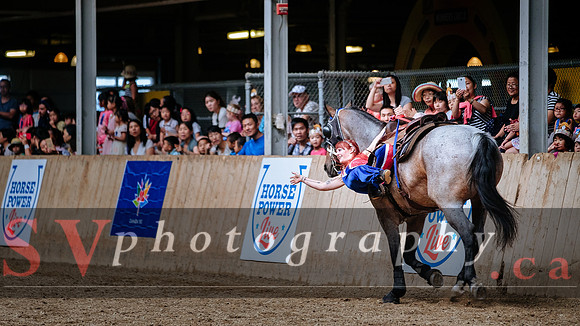 HorseCapades