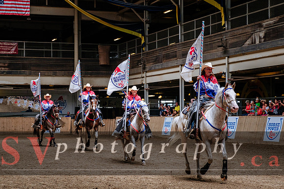 HorseCapades