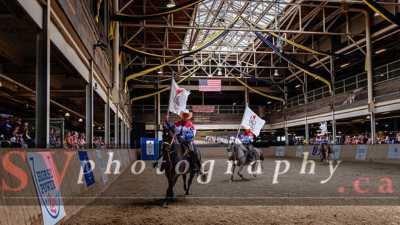HorseCapades