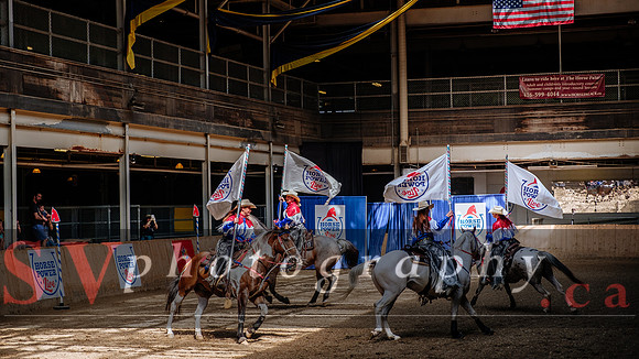 HorseCapades