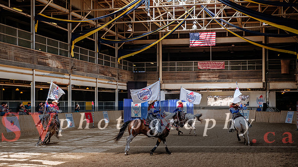 HorseCapades