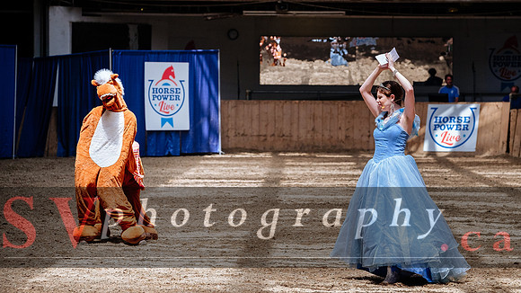 HorseCapades