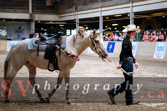 HorseCapades