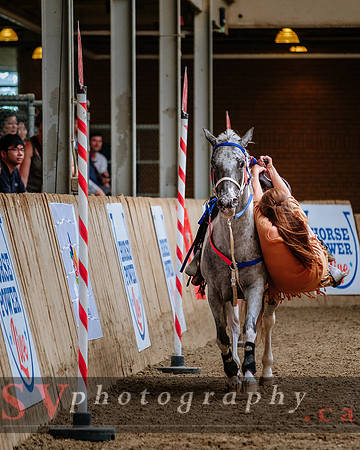 HorseCapades