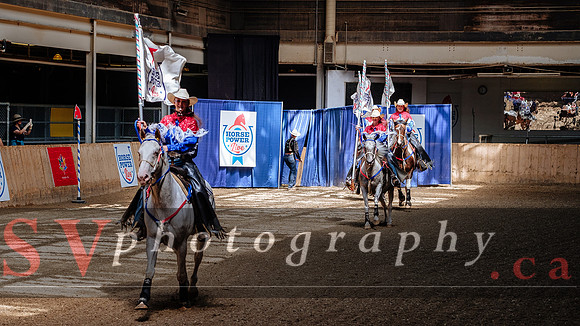 HorseCapades