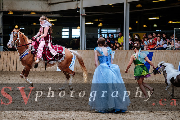 HorseCapades