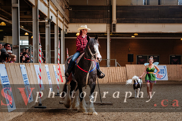 HorseCapades