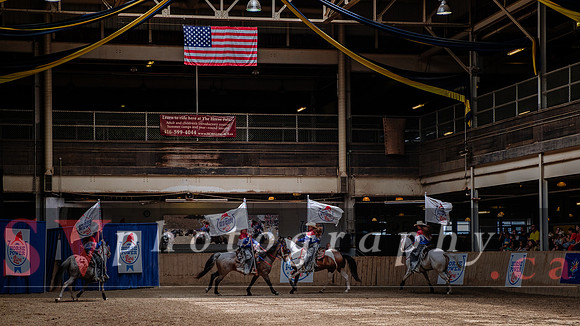 HorseCapades