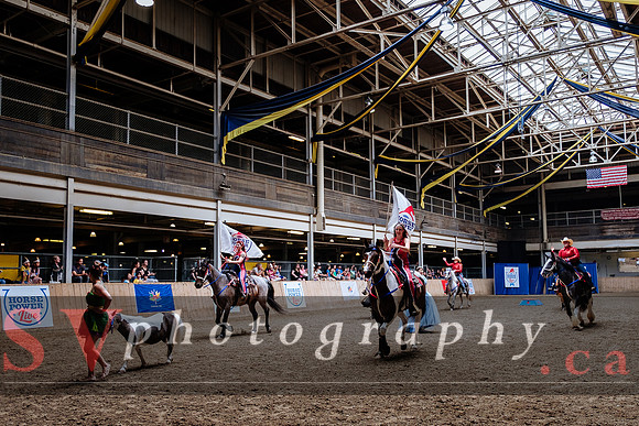 HorseCapades