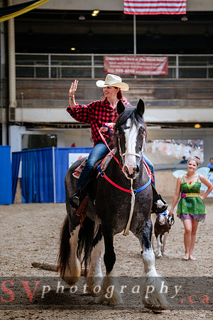 HorseCapades