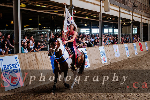 HorseCapades