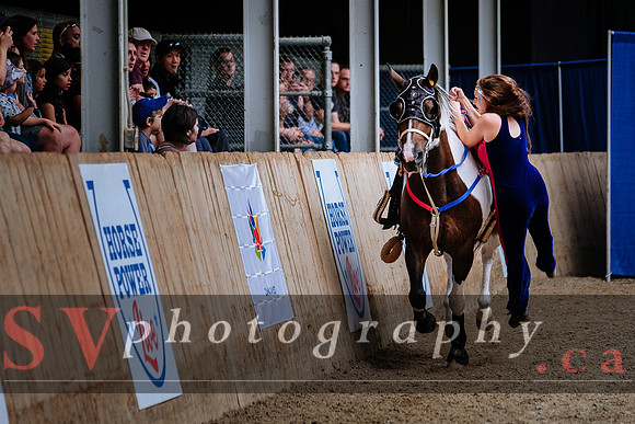 HorseCapades