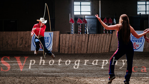 HorseCapades