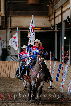HorseCapades