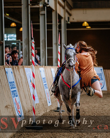HorseCapades