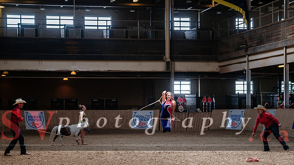 HorseCapades