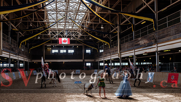 HorseCapades