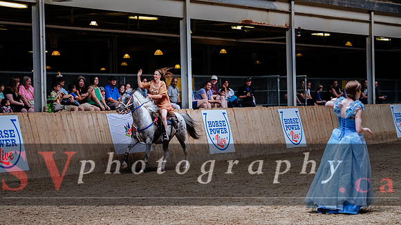 HorseCapades