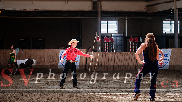 HorseCapades