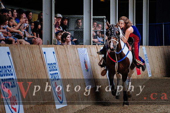 HorseCapades