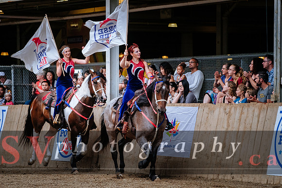HorseCapades