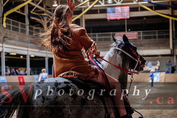 HorseCapades