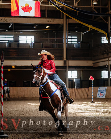 HorseCapades