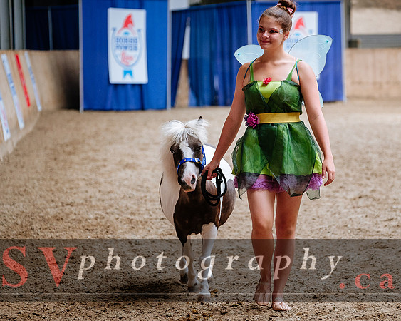 HorseCapades