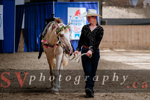 HorseCapades