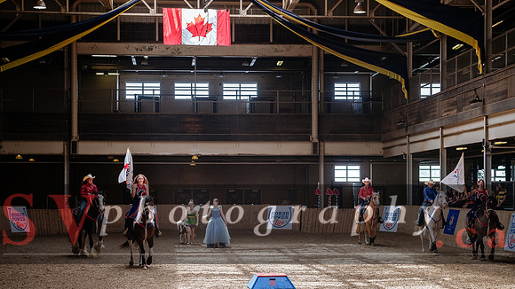 HorseCapades