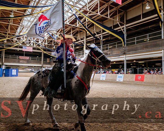 HorseCapades