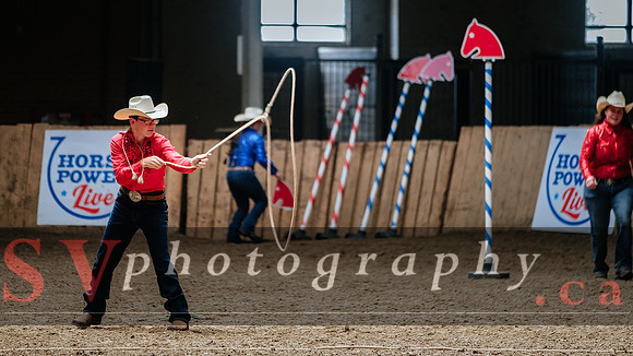 HorseCapades