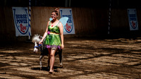 HorseCapades