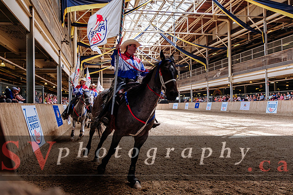 HorseCapades