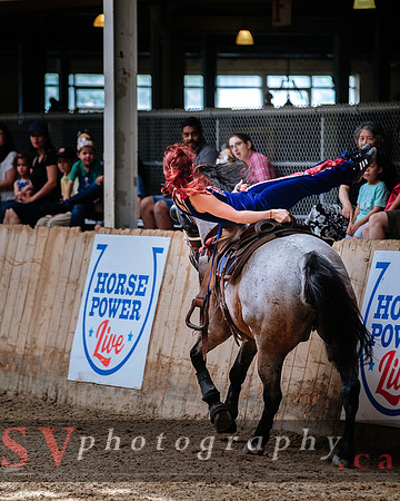 HorseCapades