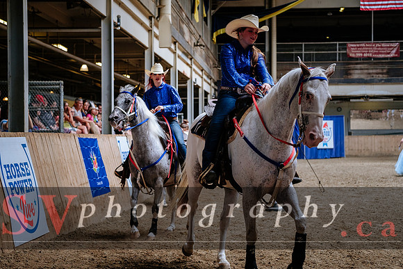 HorseCapades